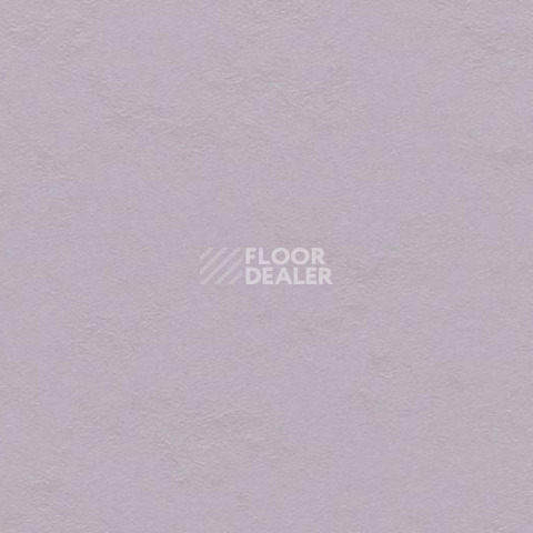 Линолеум Forbo Marmoleum Decibel on Order 336335 lilac фото 1 | FLOORDEALER